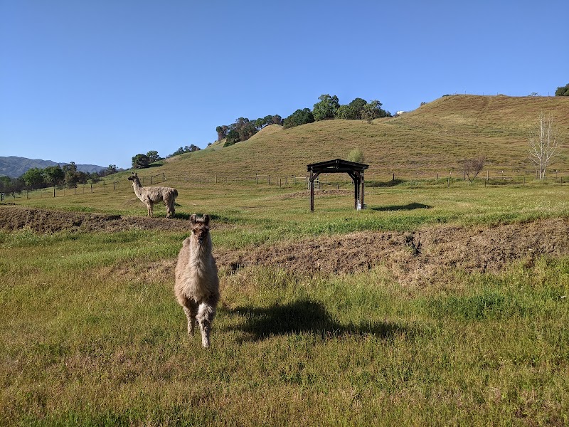 Photo of Mean Time Ranch