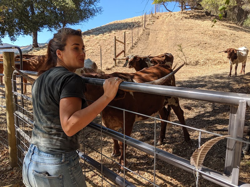 Mean Time Ranch photo 3