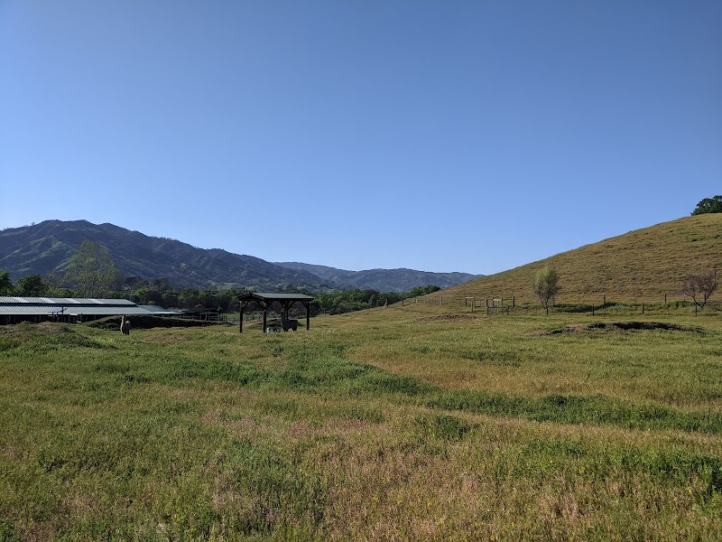 Mean Time Ranch photo 4