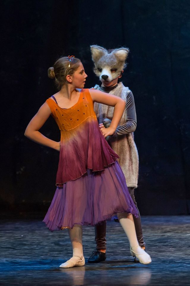 Ballet Academy of Silicon Valley photo 5