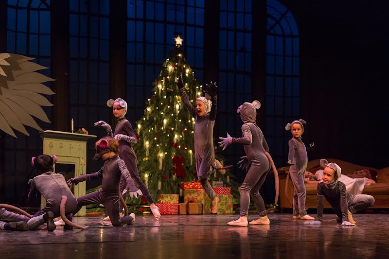 Ballet Academy of Silicon Valley photo 3
