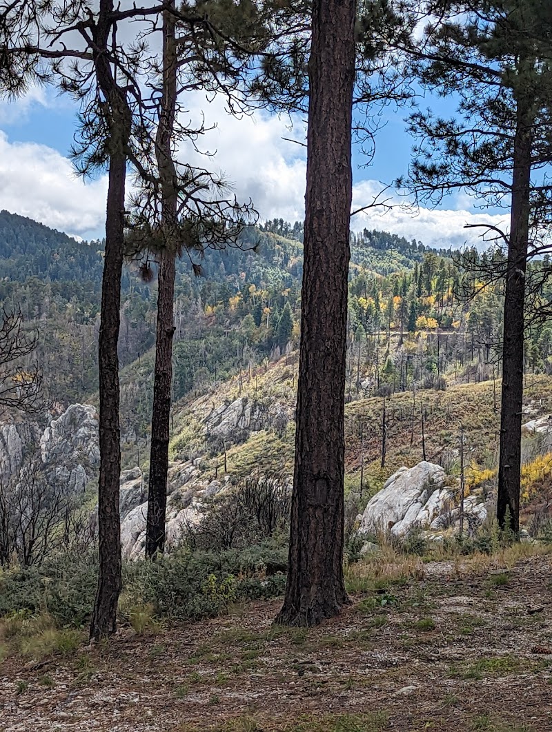 Loma Linda Picnic Area photo 2