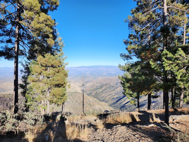 Photo of Loma Linda Picnic Area