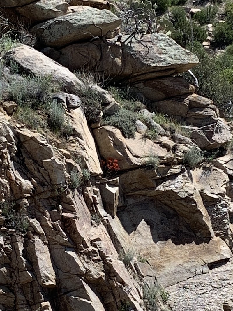 Loma Linda Picnic Area photo 4