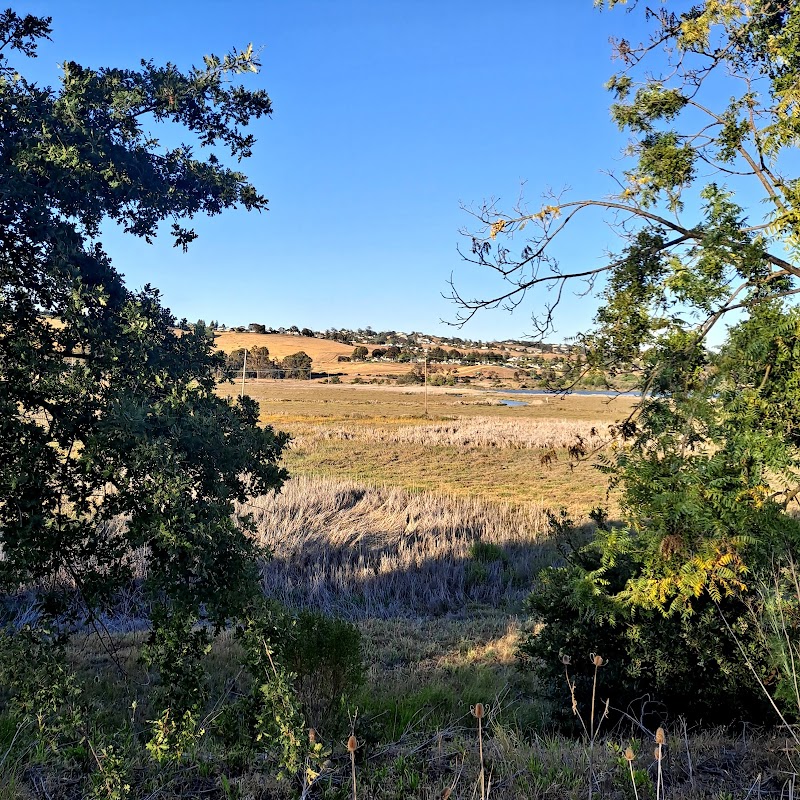 Benicia State Recreation Area photo 5