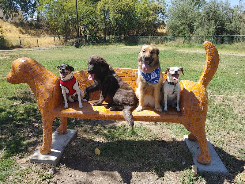 Toad Hollow Dog Park photo 3