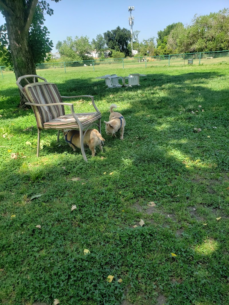 Toad Hollow Dog Park photo 2