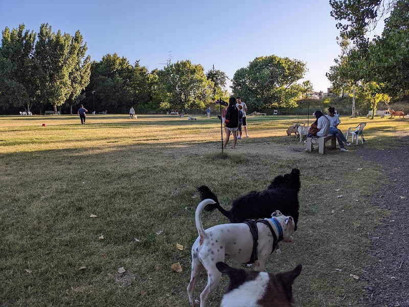 Photo of Toad Hollow Dog Park