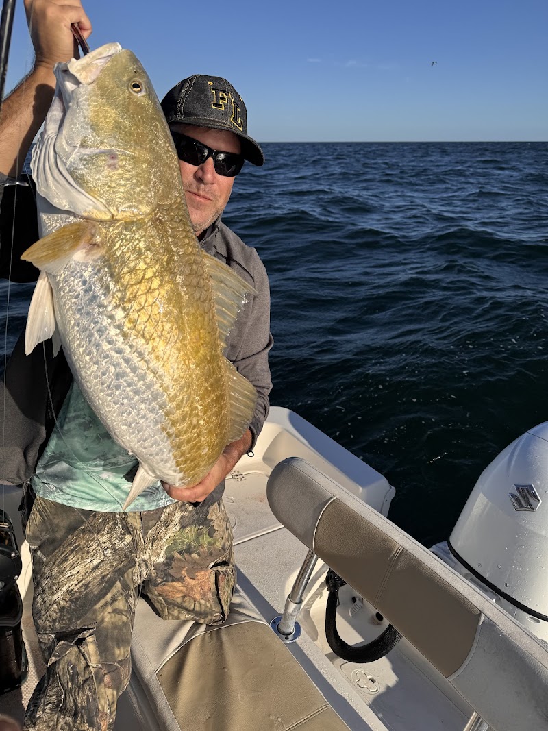 Gulf Coast Boat Tours Tarpon Springs & Clearwater Beach photo 3