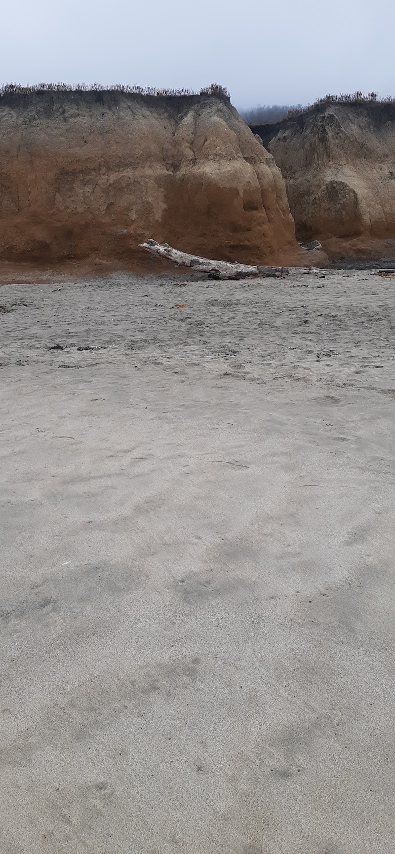 Vallejo Beach photo 4