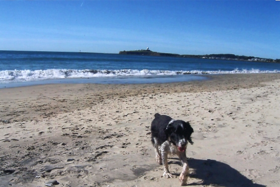 Vallejo Beach photo 5