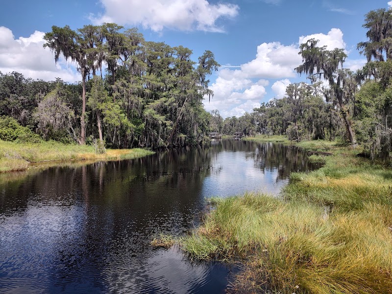 Photo of Lake Susan Bridge