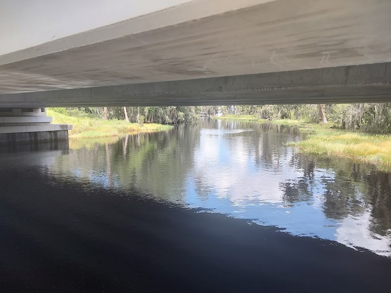 Lake Susan Bridge photo 5