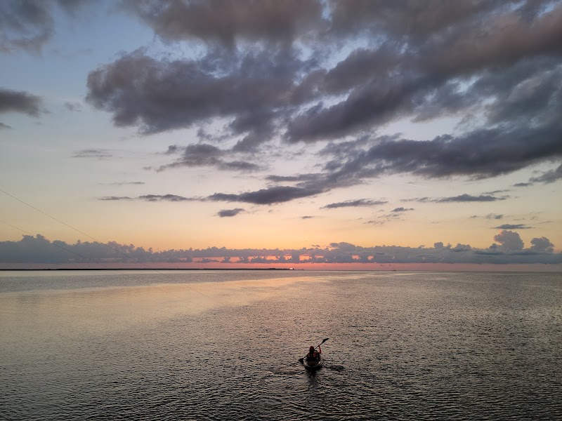 Anclote Gulf Park photo 4