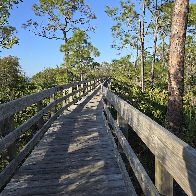 Anclote Gulf Park photo 2