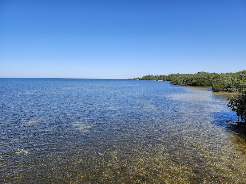 Anclote Gulf Park photo 5