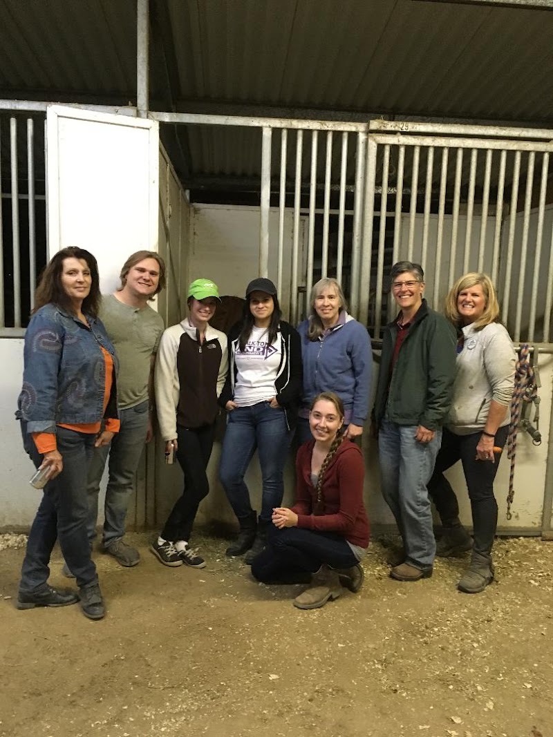 Horseplay Therapeutic Riding photo 5