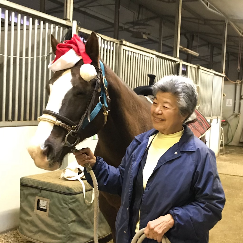 Horseplay Therapeutic Riding photo 3