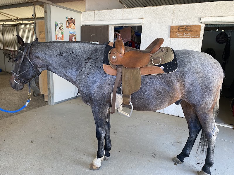 Photo of Horseplay Therapeutic Riding