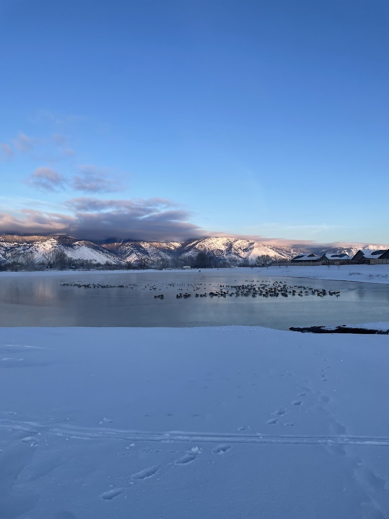 Mountain View Pond photo 3