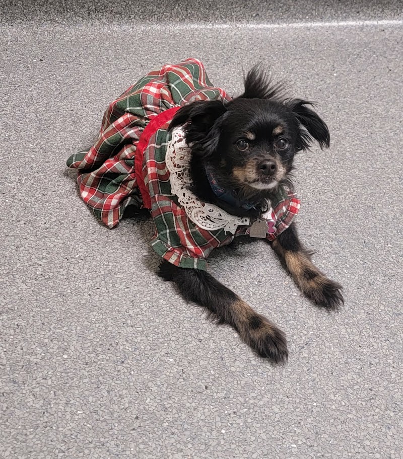 Photo of Analy Veterinary Hospital