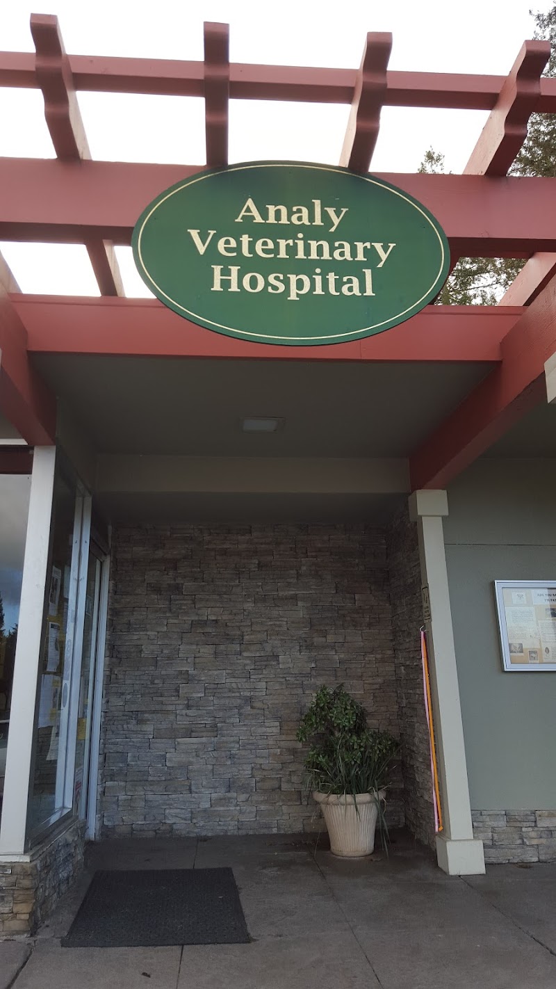 Analy Veterinary Hospital photo 4