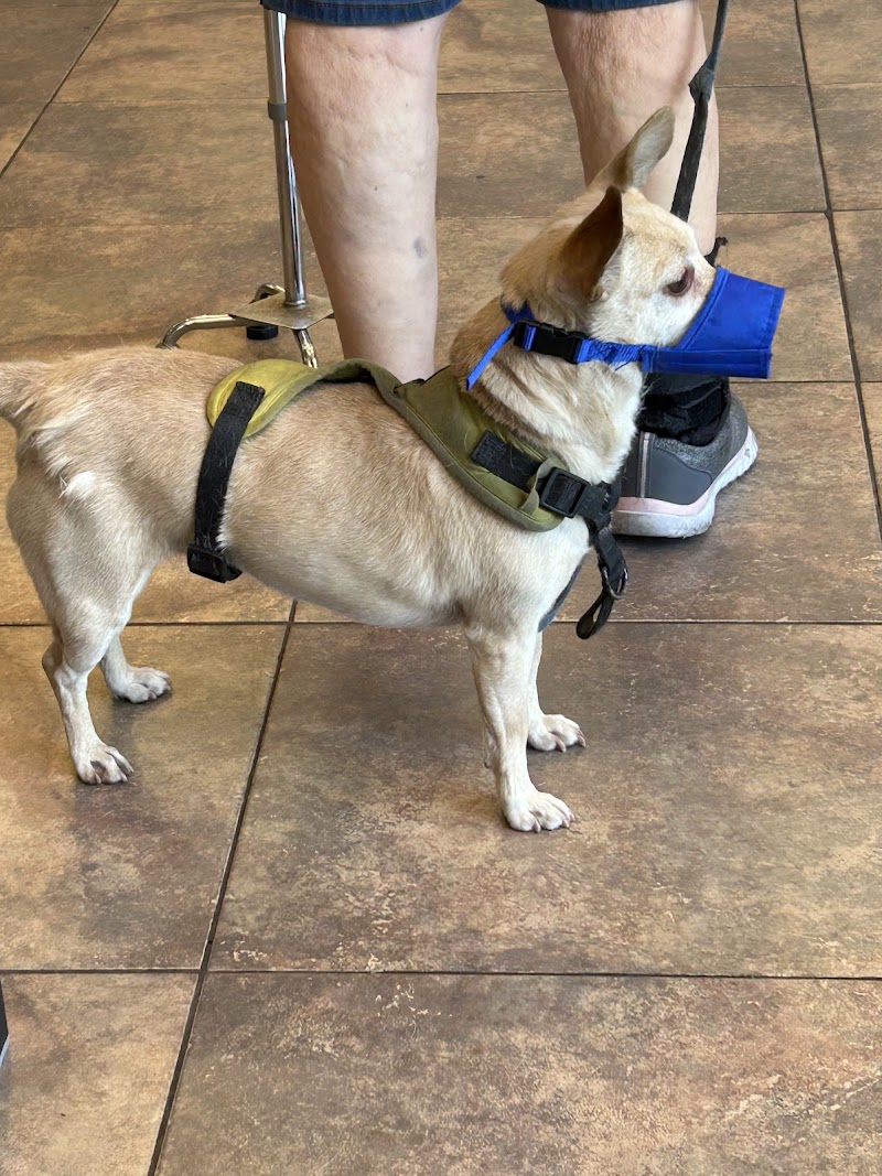 Lovet Pet Health Care - Madison photo 4