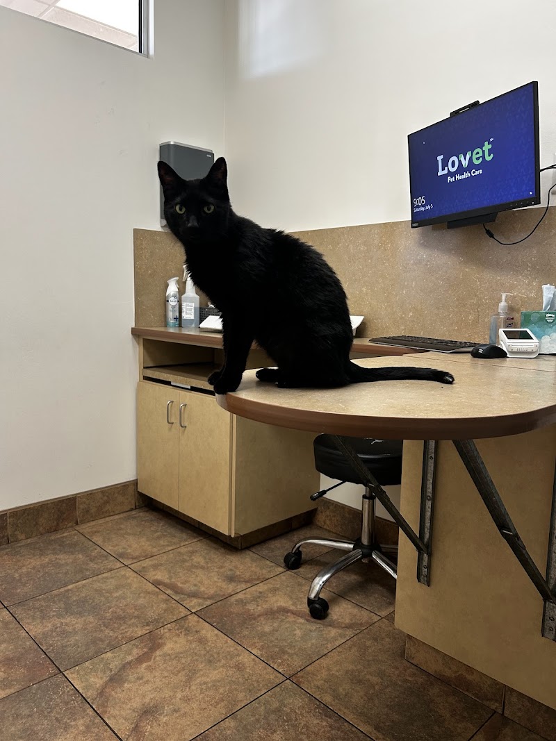 Lovet Pet Health Care - Madison photo 2