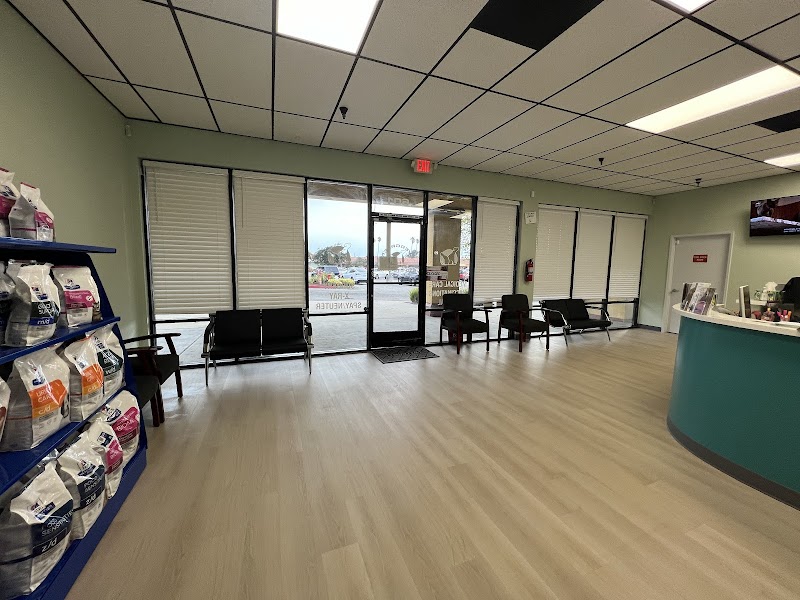 Evergreen Pet Clinic photo 5