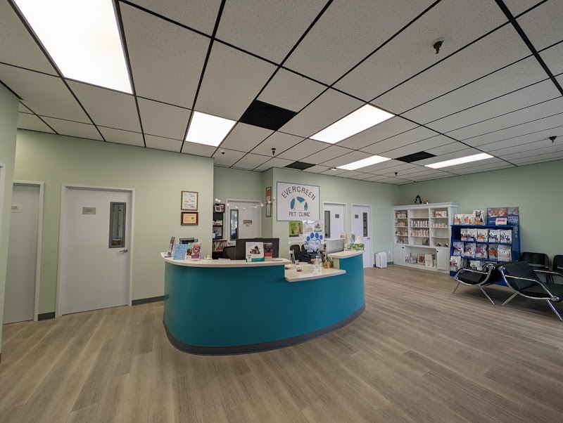 Evergreen Pet Clinic photo 2