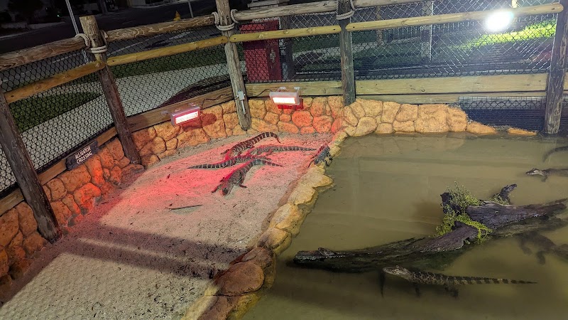 Congo River Golf photo 5
