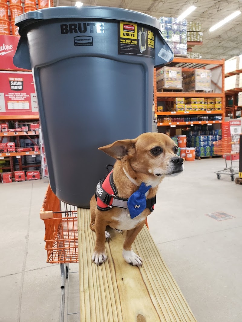 The Home Depot photo 4