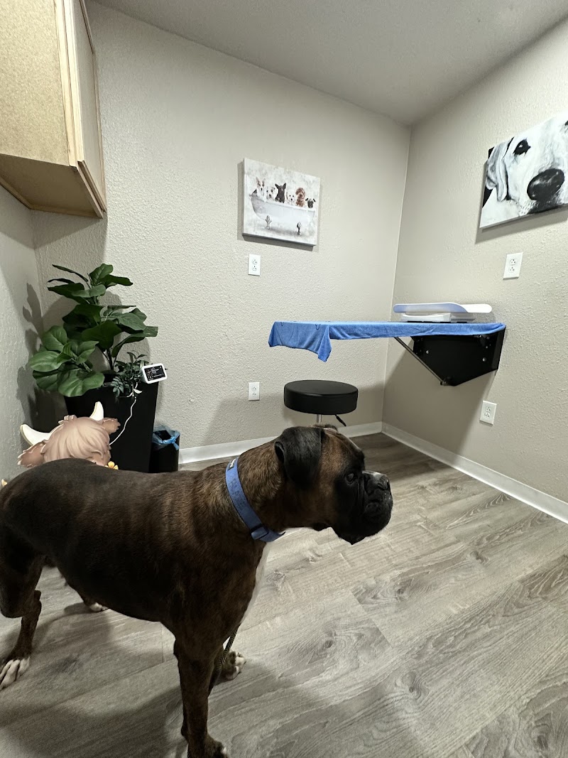 Ojala Family Pet Care photo 4