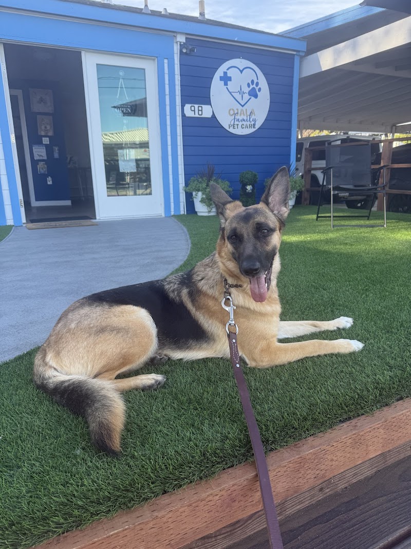 Photo of Ojala Family Pet Care