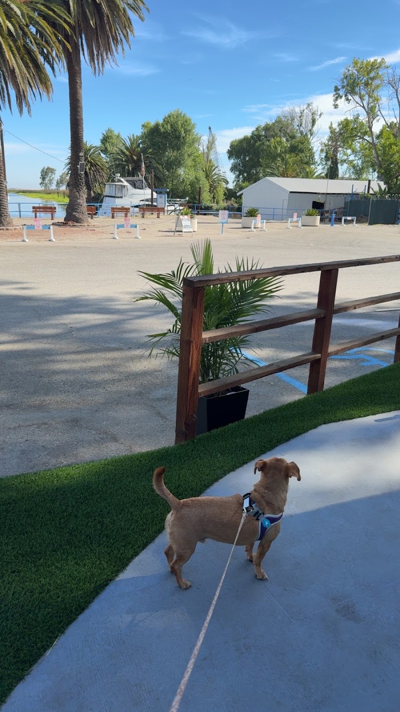 Ojala Family Pet Care photo 5