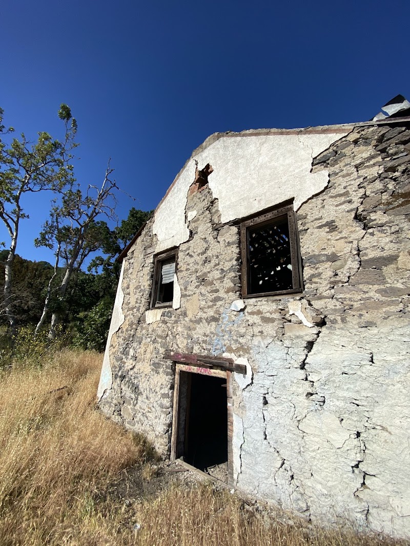 Madrone Historic District photo 4
