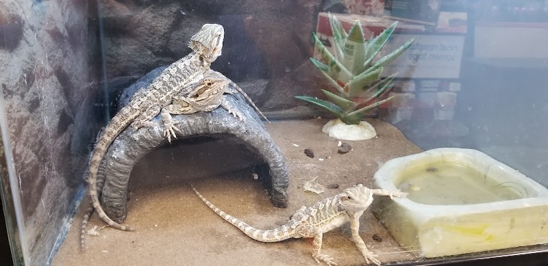 Petco photo 4