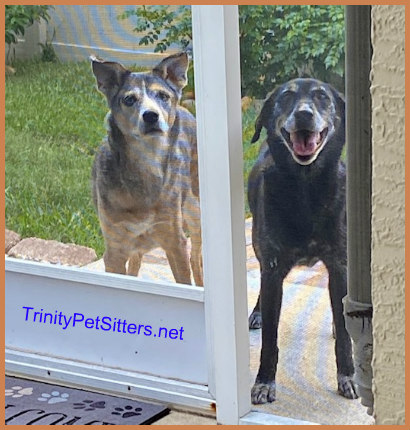 Trinity Pet Sitters LLC photo 2