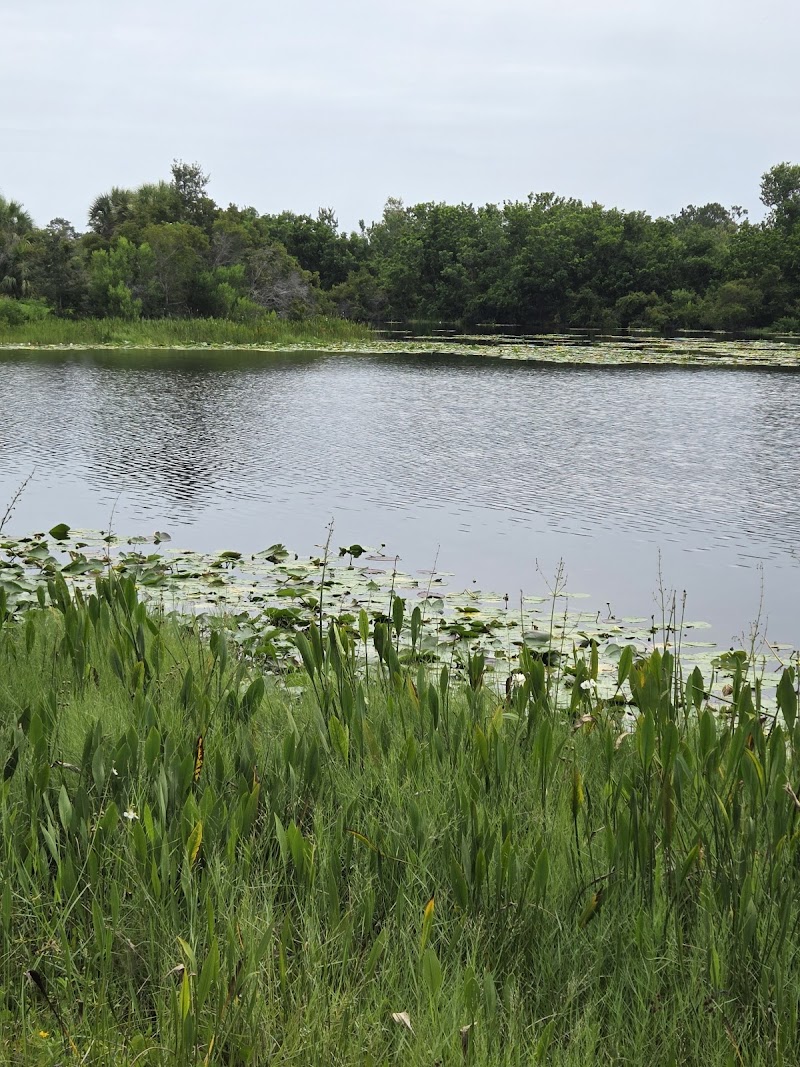 Photo of Walsingham Park