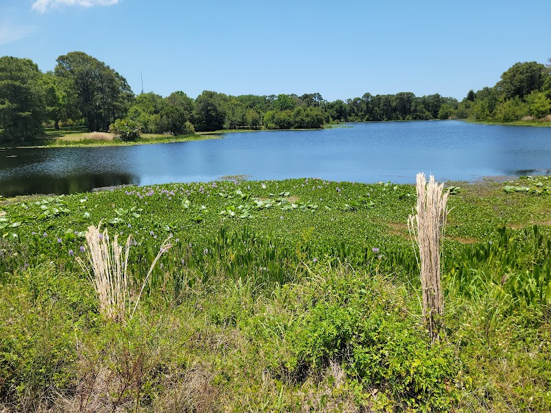 Walsingham Park photo 3
