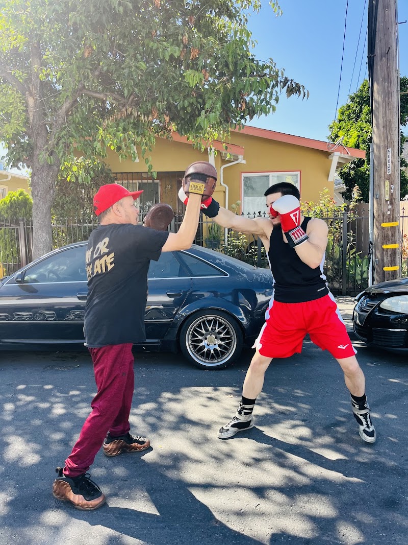 The Lion’s Den Boxing Gym photo 5