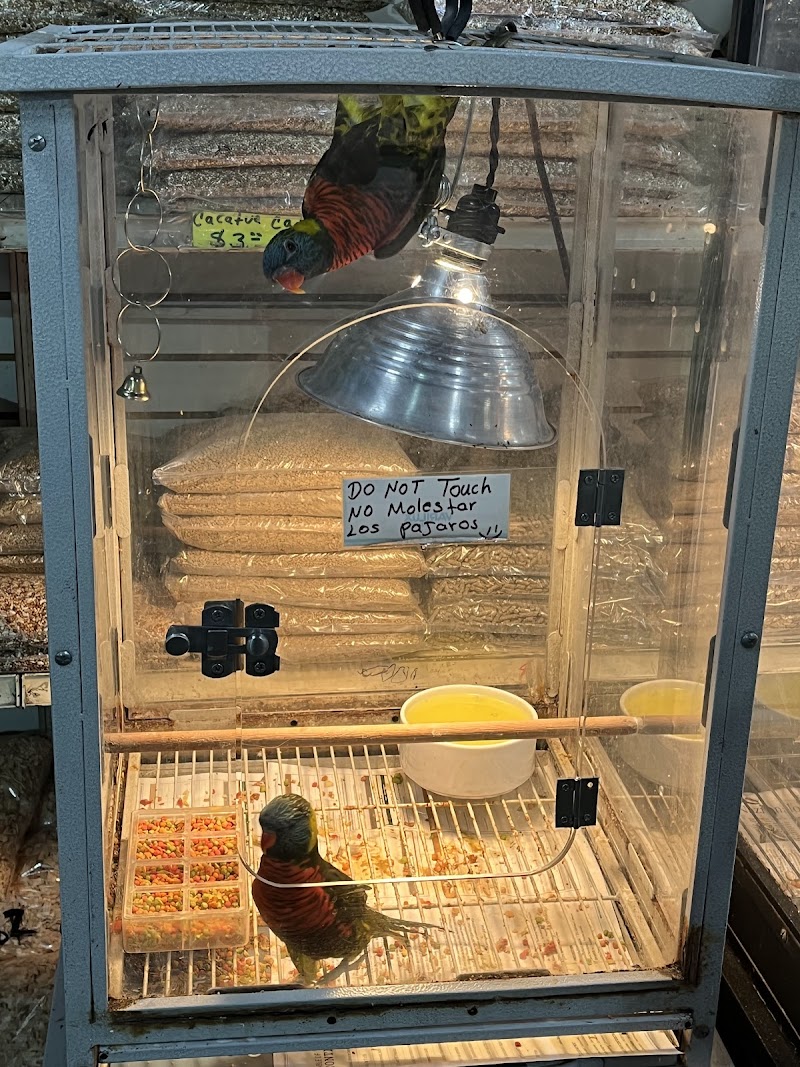 Las Dos Arelis Pet Shop & Exotic Birds photo 5