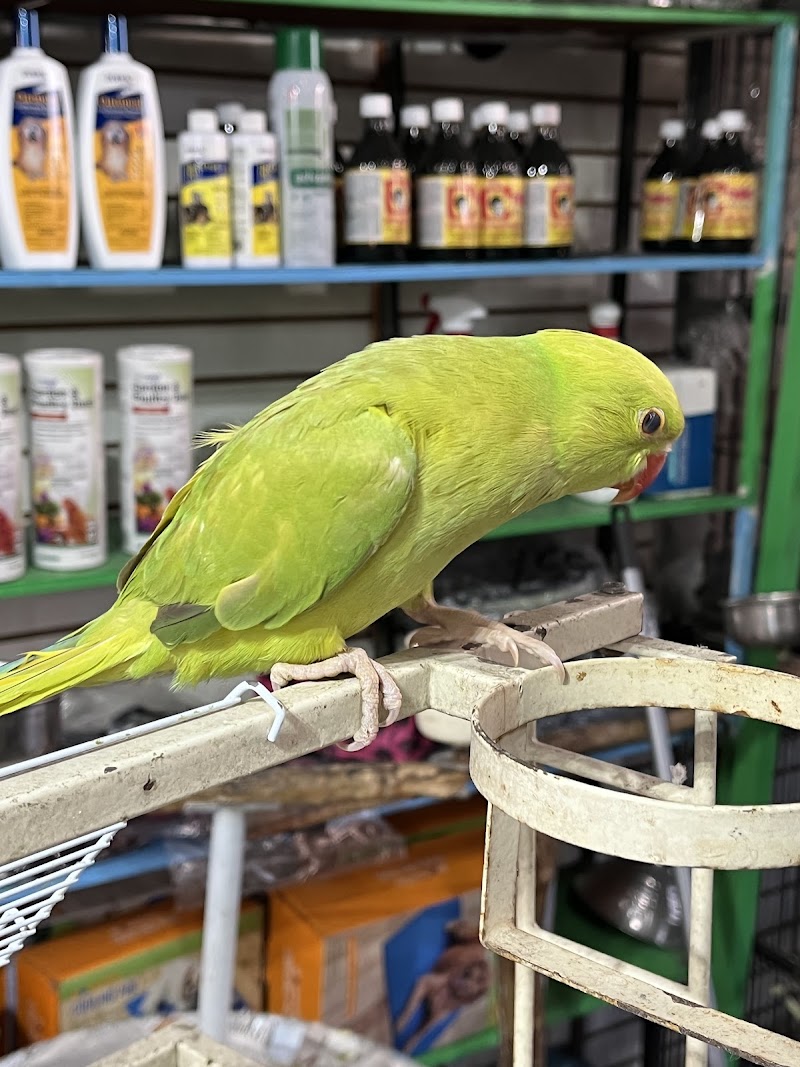 Las Dos Arelis Pet Shop & Exotic Birds photo 2