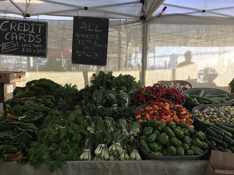Eatwell Farm photo 4