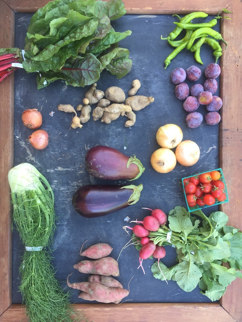 Photo of Eatwell Farm
