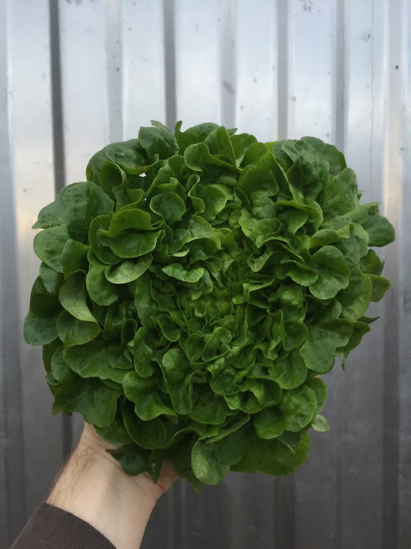 Eatwell Farm photo 3