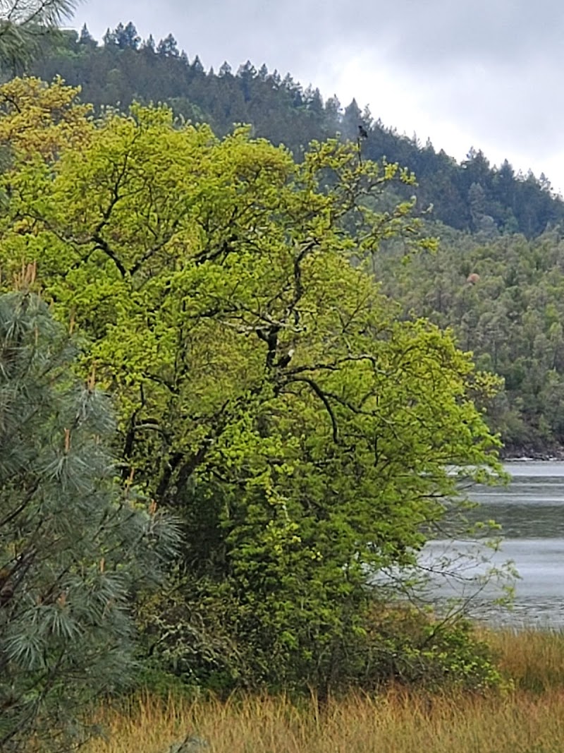 Lake Hennesy beach photo 4