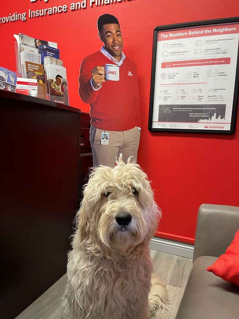Bryan Silveira - State Farm Insurance Agent photo 3
