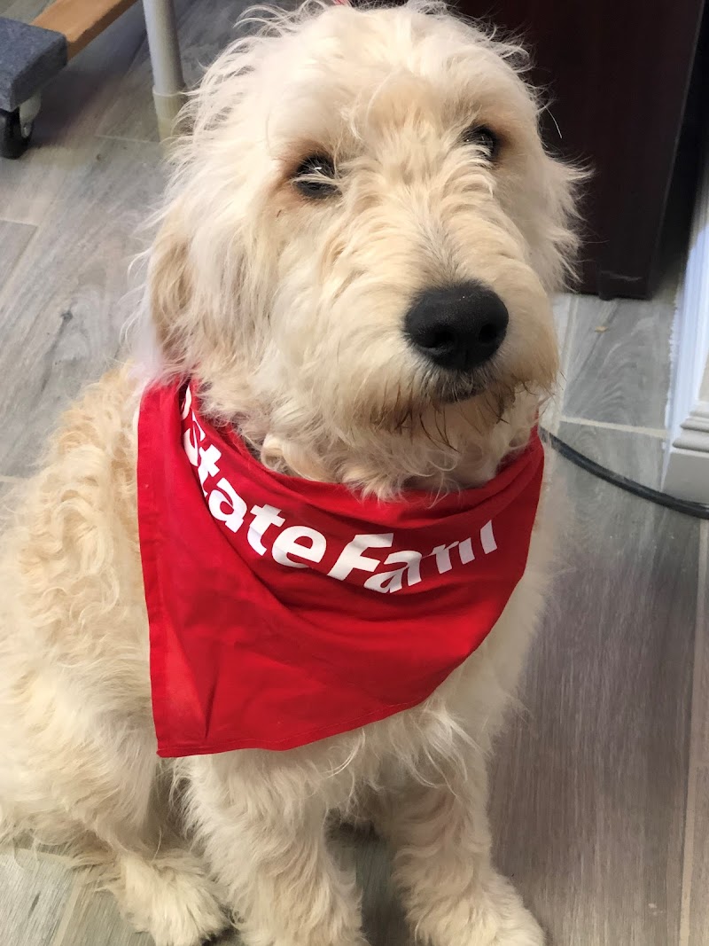 Photo of Bryan Silveira - State Farm Insurance Agent