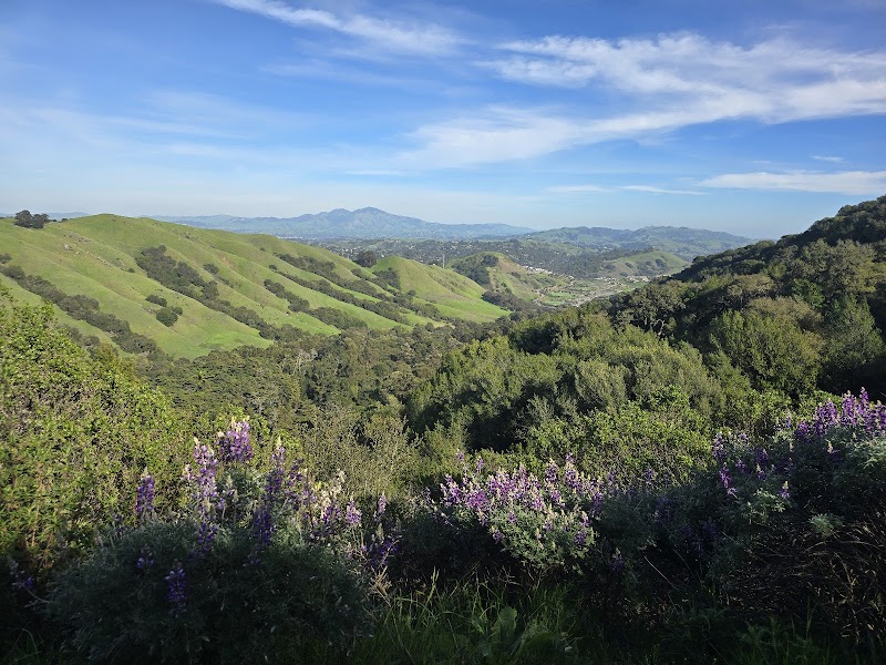 Photo of Scotts Peak Trailhead